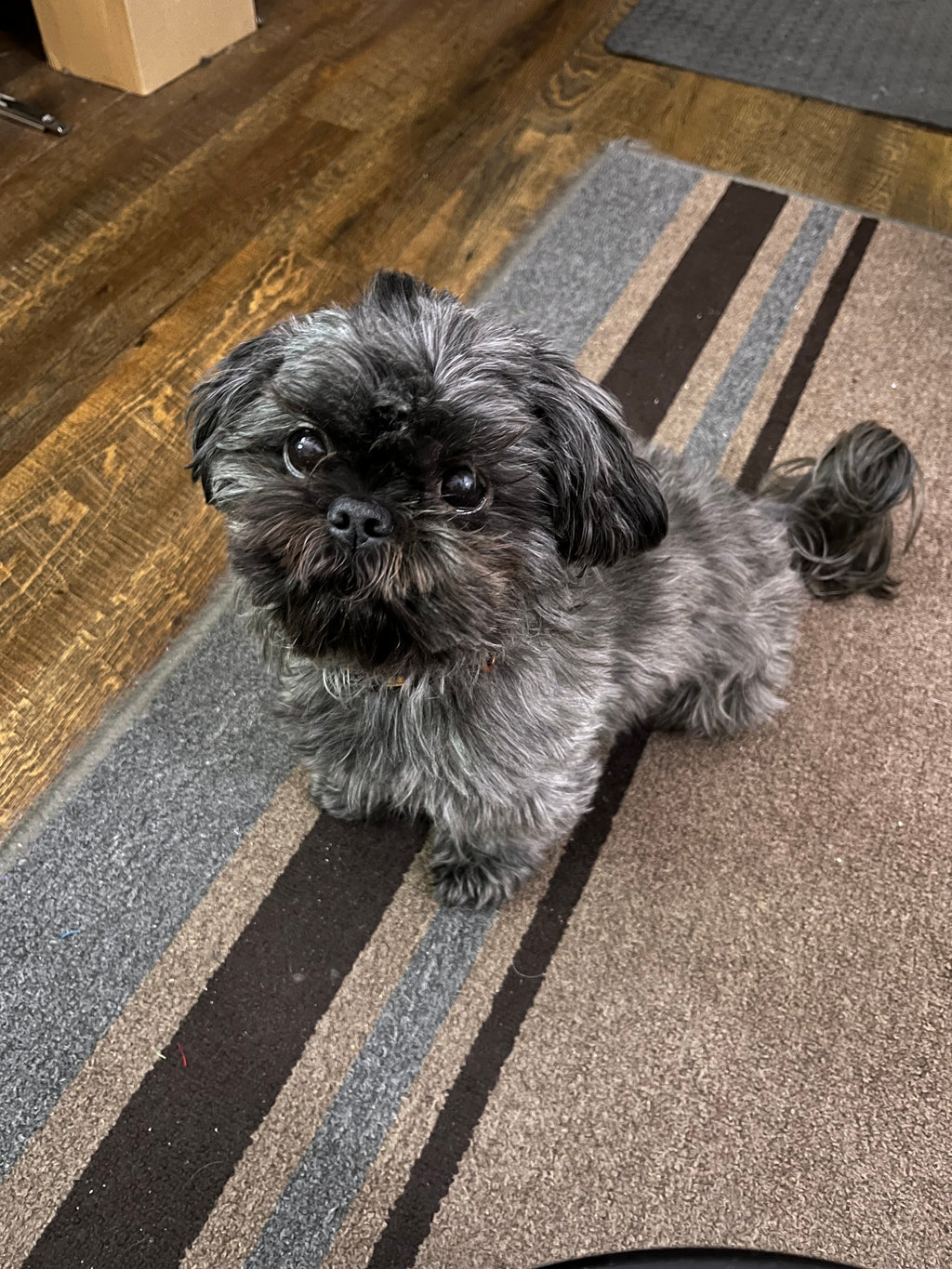 Donations for Oreo