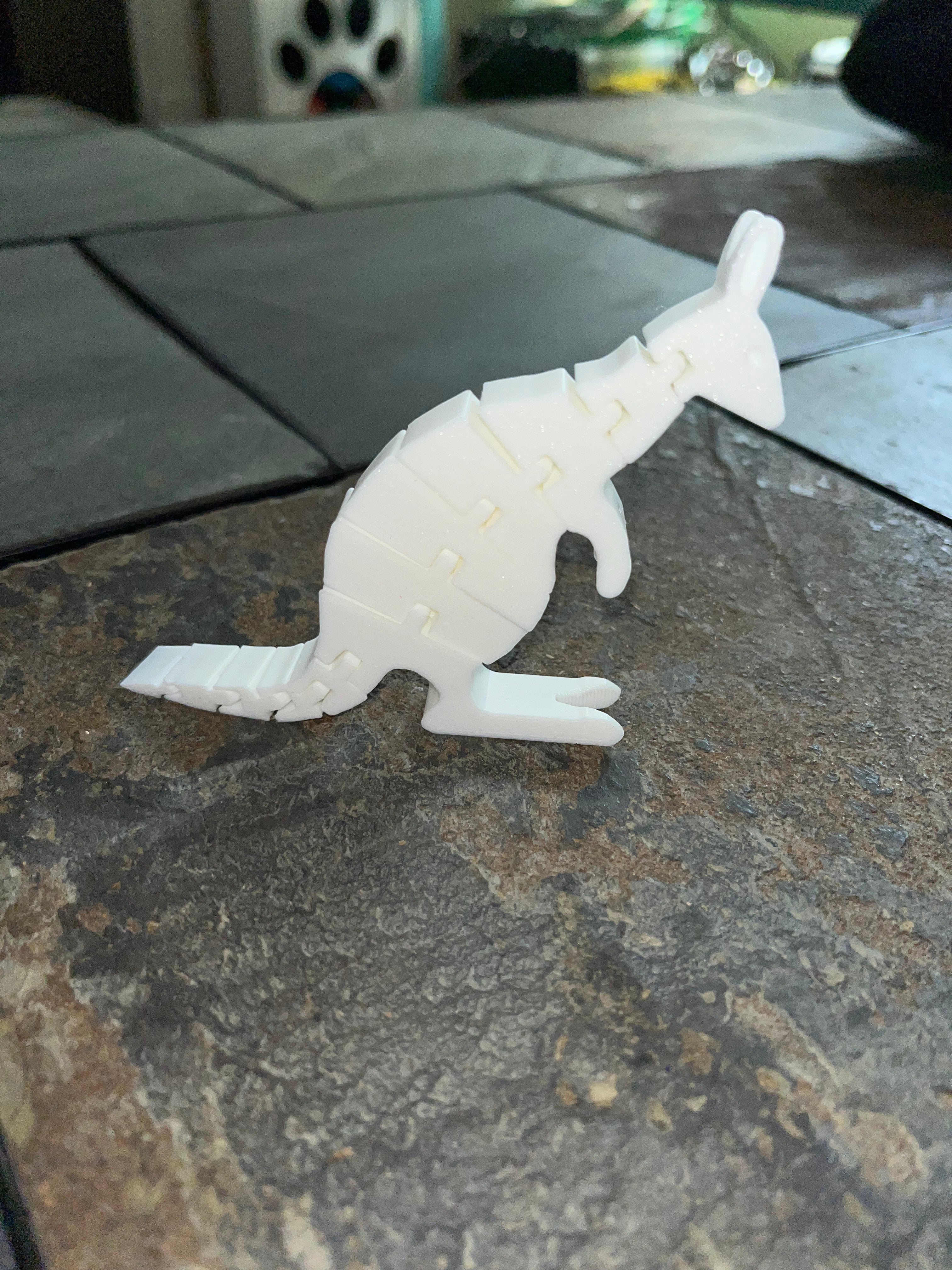 Mokey Wallaby 3d Printed Fidget Toy